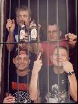 Zdj�cie , kliknij by powi�kszy�